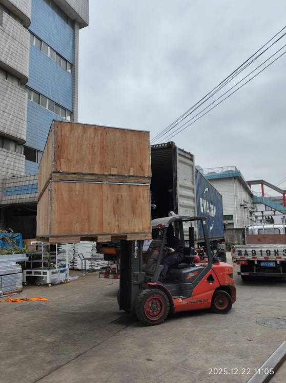 Snipaste_2025-12-31_14-06-53