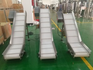 take off conveyor (2)